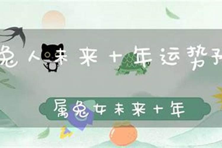 2025最旺的生肖 属兔的人 运势