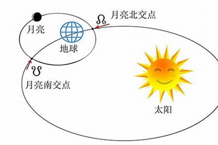 梦见牛粪弄身上去了的预兆