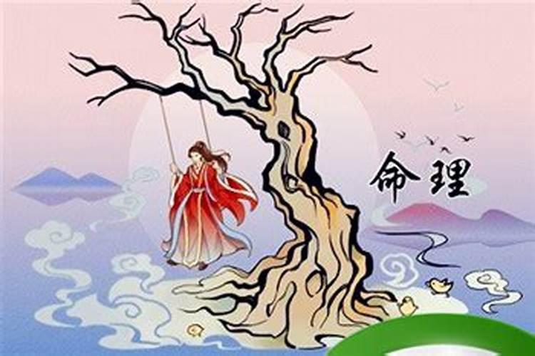 兔宝宝洋气的乳名文雅好听的小孩小名