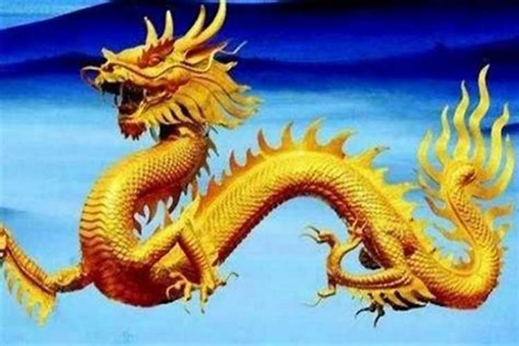 属龙人最忌几月出生