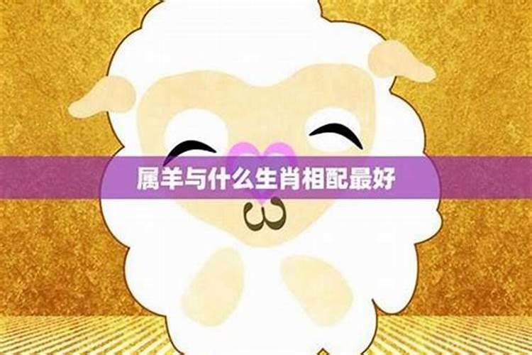 属羊人2025年全年运势 1979年