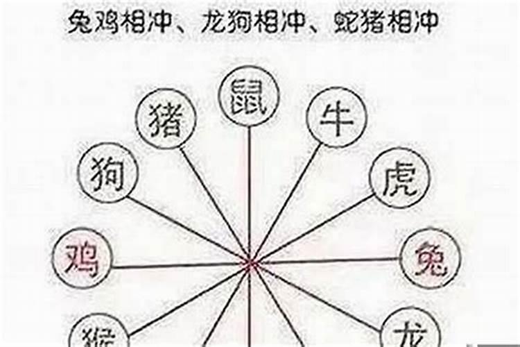 2025年1978属马女的全年运势