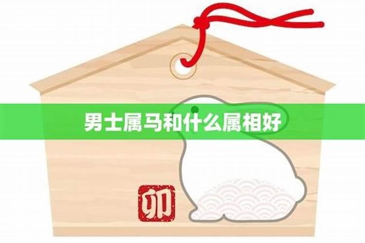 属马男和什么属相最配 属马男最佳婚配对象属相名单