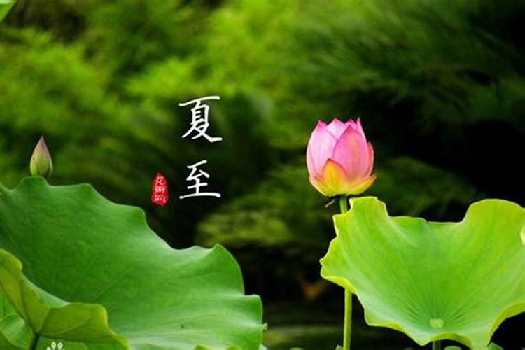 老先生算;这3个月出生的属狗人"命里带福",添财又添福？