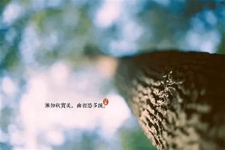 生孩子运气会变好还是不好