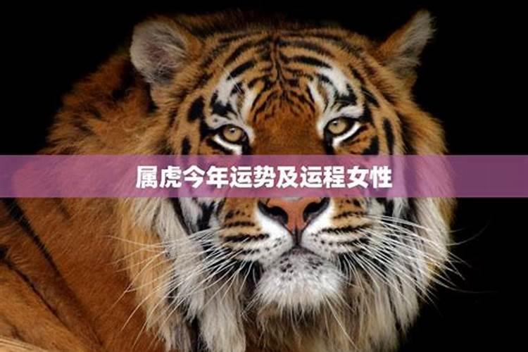 1986属虎女2025年每月运势