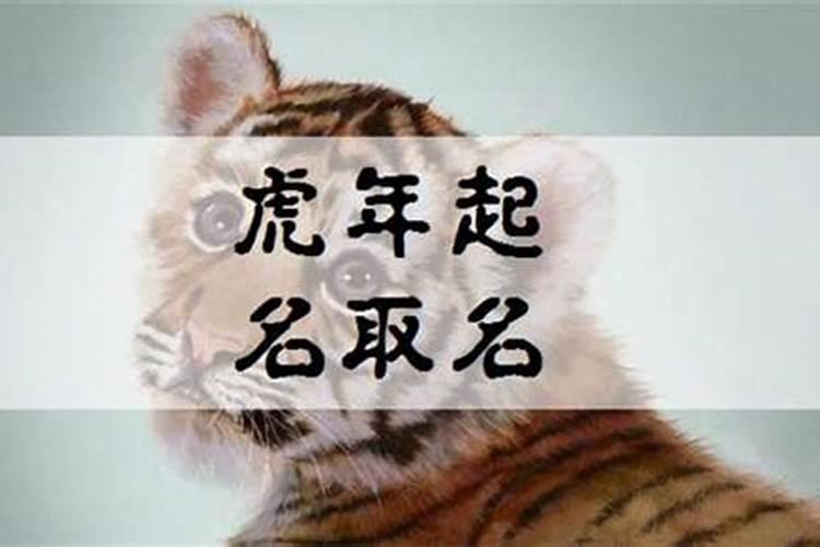 健术给冬天的虎宝宝取名好吗