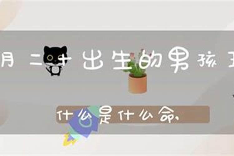 腊月二十生日的男孩命运如何 为家庭添财增福？