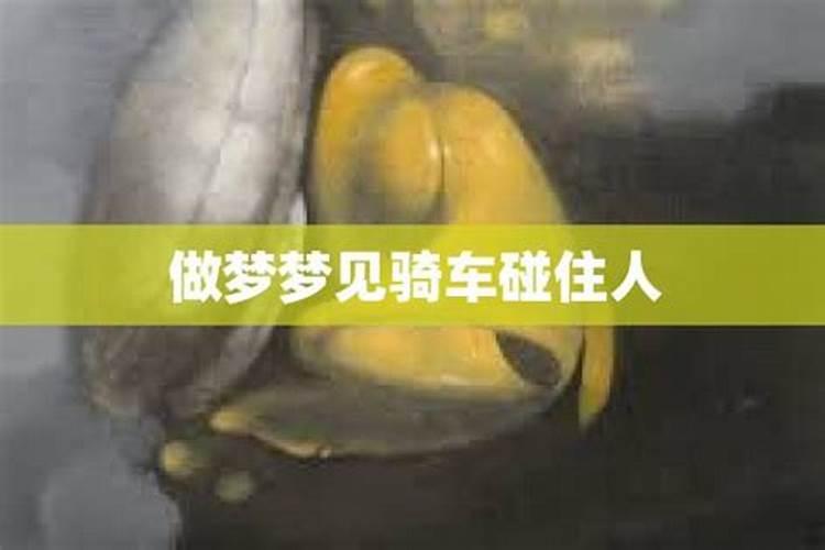 湖南冬至吃汤圆还是饺子