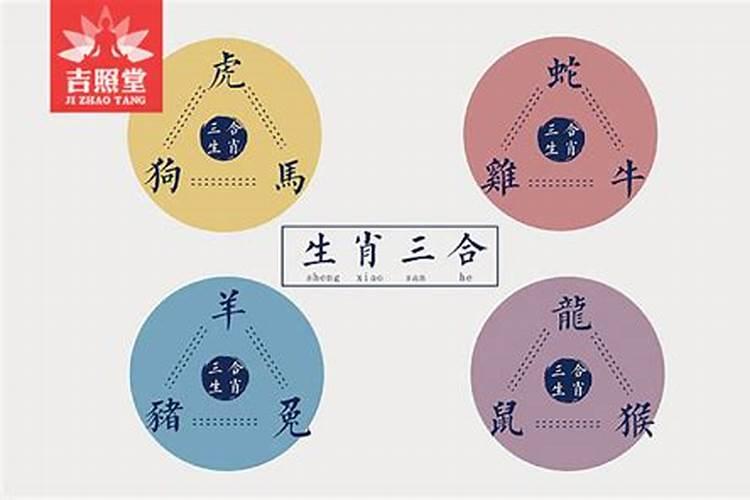 猪和羊配婚姻好不好 两人相处合不合适