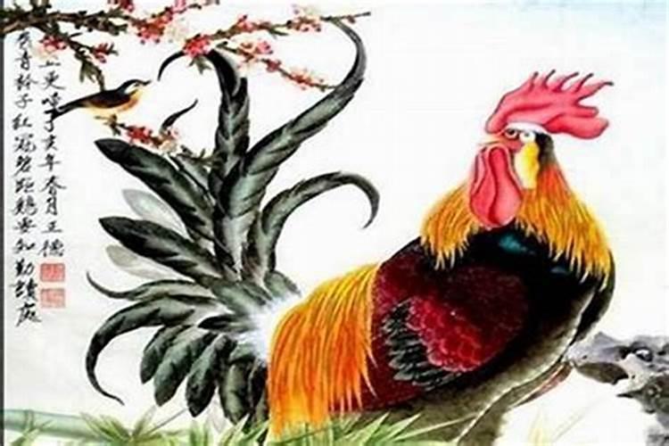 请问属狗(男)和属鸡(女)能不能结婚？