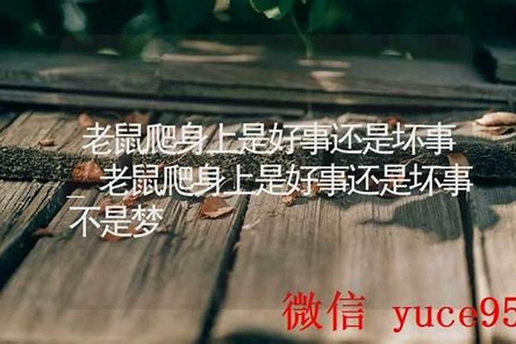睡觉梦到老鼠爬到身上预示着什么意思