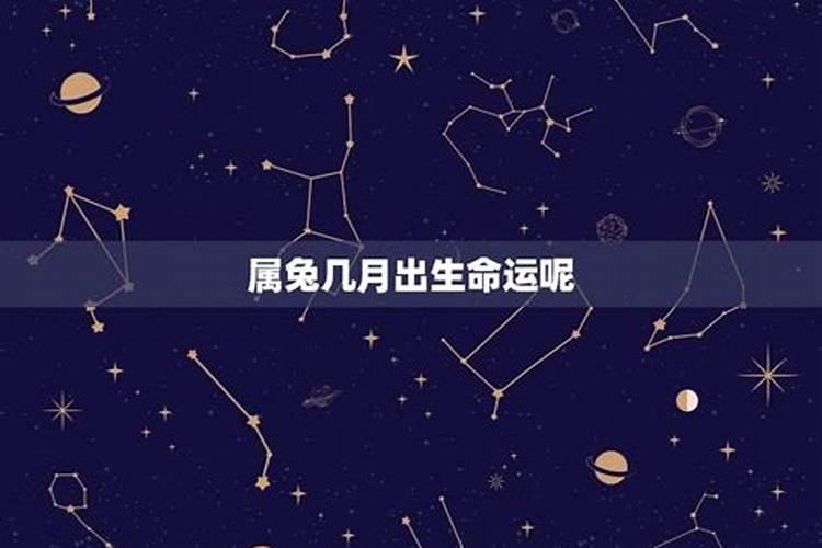 属兔人2025年全年运势及运程