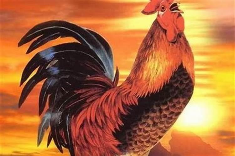 两人夫妻宫三合 三合局互相之间的影响？
