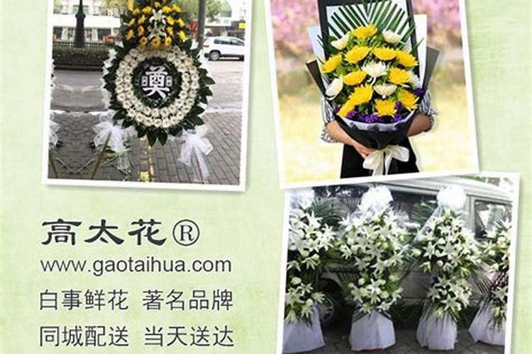 虎年犯太岁的生肖