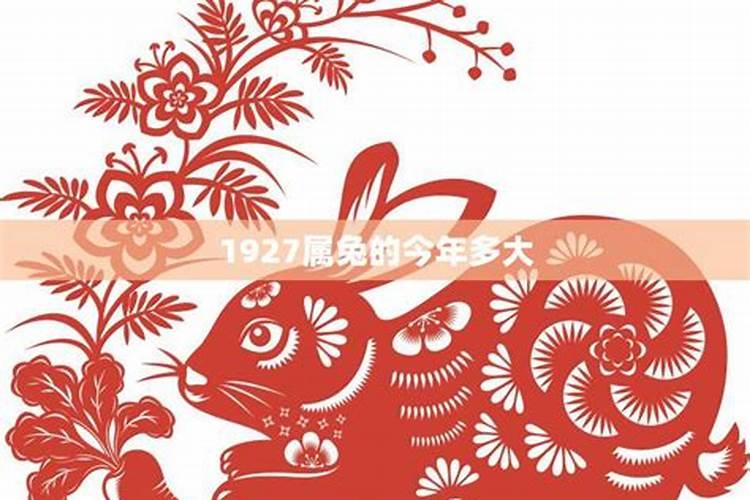 属兔2023年运程及运势详解2023兔年属兔人本命年每月运势