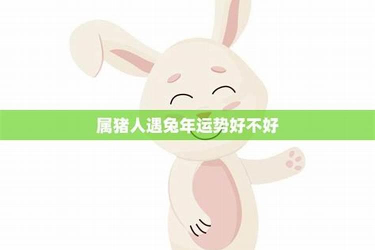 属兔人啥年运势最旺