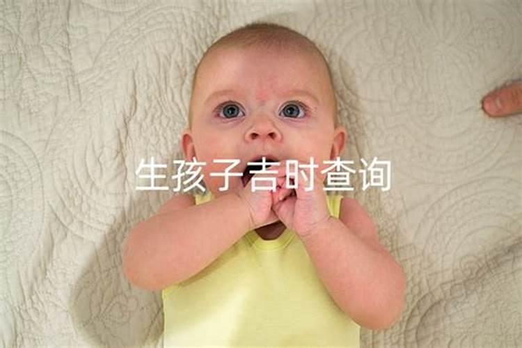 属狗人出生月的命运分析生肖狗几月出生最好命