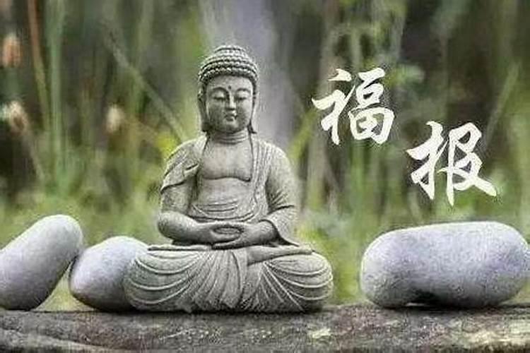 1977年蛇在2026年事业财运感情运势如何？比2025年好一些吗？