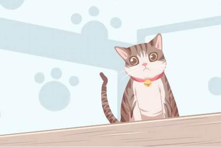 梦到家里来了很多猫,什么意思呢？