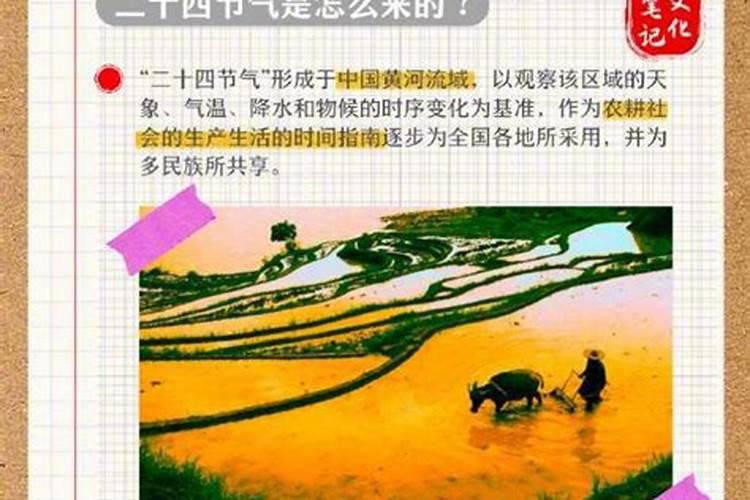 双子子座和什么星座最配