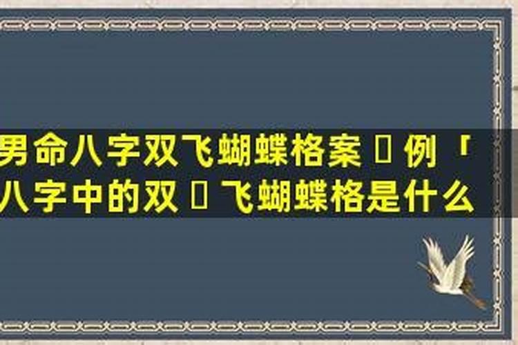 八字命格属双飞蝴蝶格是什么意思？