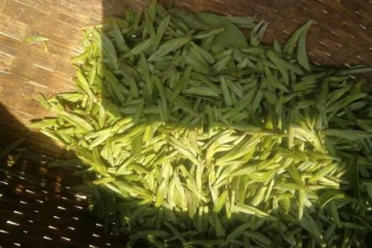 堕胎孩子如何超度？