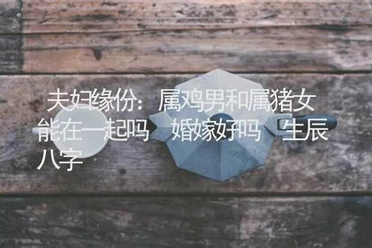 戊午男的配偶特点,戊午配甲申吗