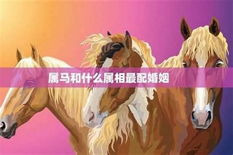 属马人的最佳配偶是什么属相？