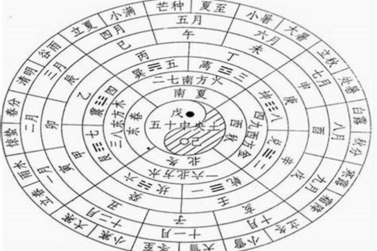 属兔女不能和什么属相结婚