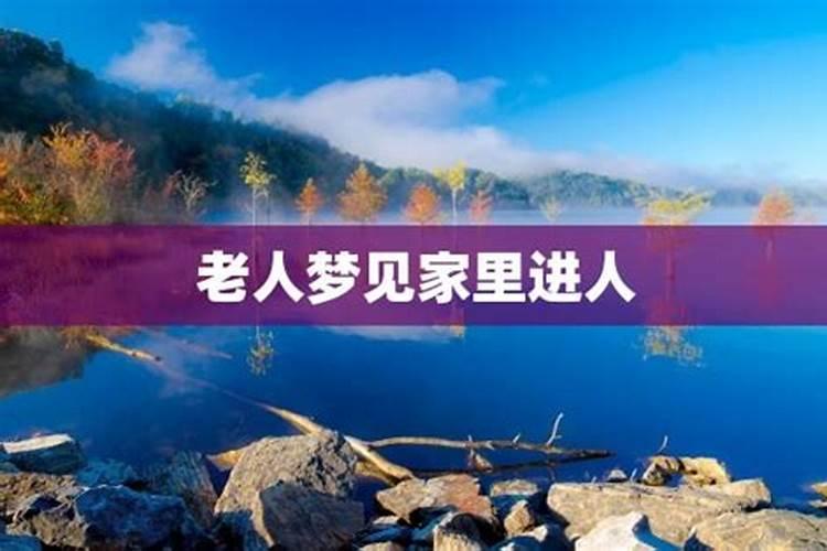 三十五岁的狗是什么命