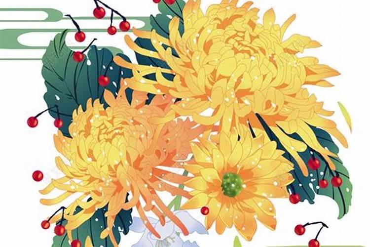 重阳节开什么花 菊花与重阳节关系