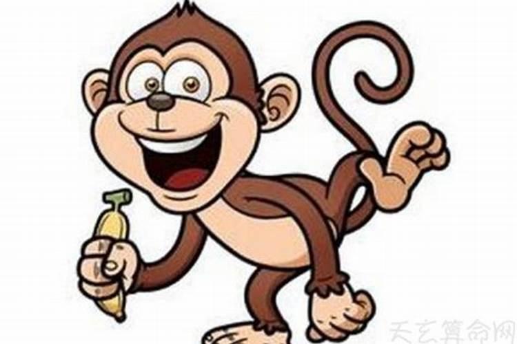 两个92属猴的结婚好吗 两个属猴的人能在一起吗