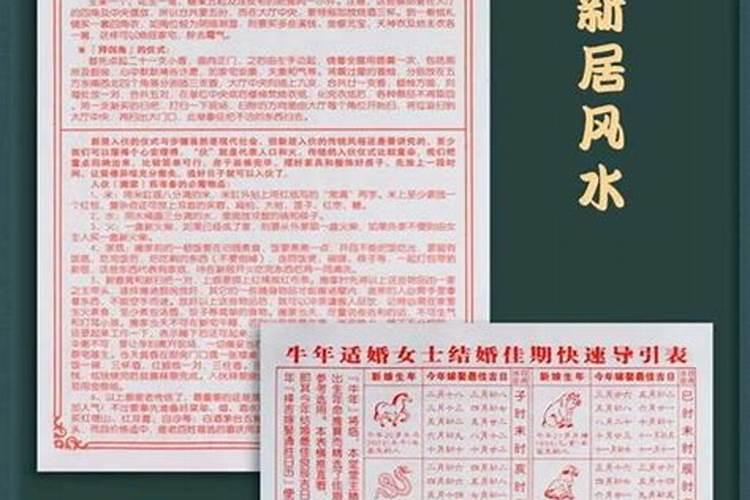 2025年能不能上坟