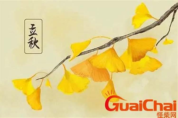24年立秋几点几分