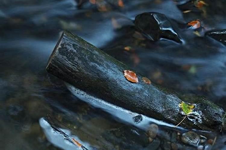 梦见在一根木头上在水面漂游的预兆