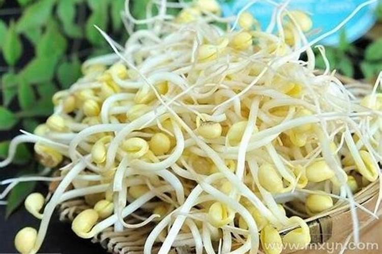 梦见豆芽菜是什么意思