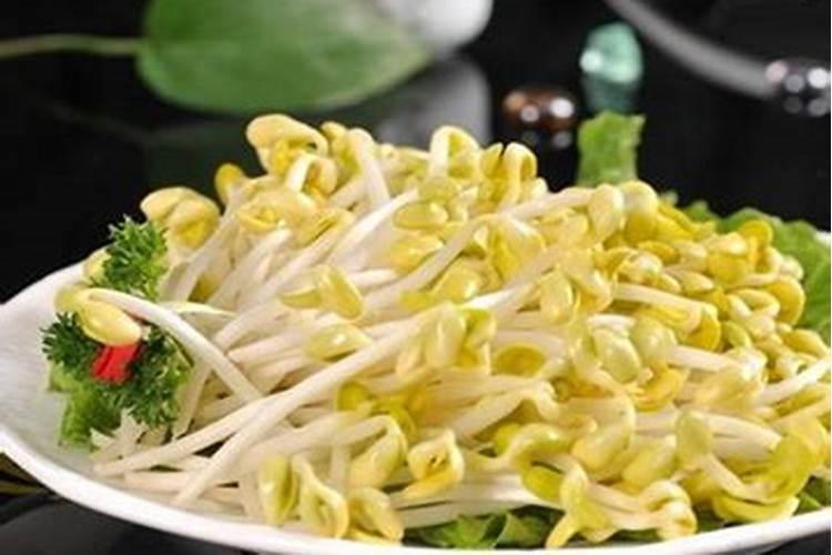 梦见很长的豆芽是什么意思