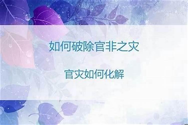 属狗2025年运势如何