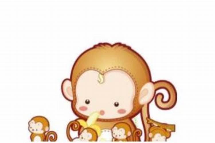 92年的猴和96年的鼠,96鼠和92猴是上等婚吗