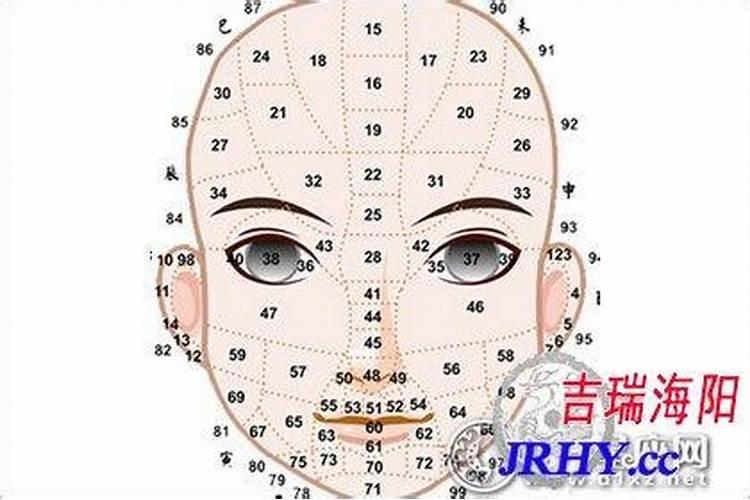 脸上无肉的男人面相一生运势起伏较大