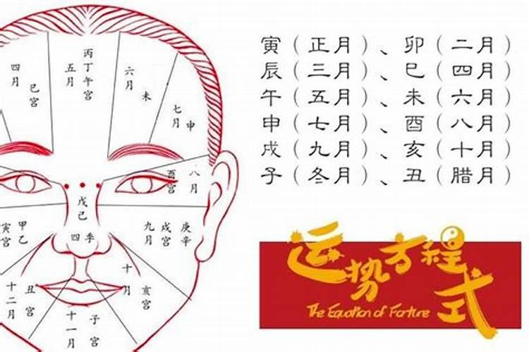 面相看你一生财运详解？