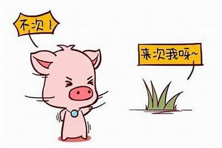 八字排盘什么意思