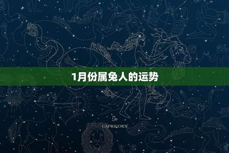 2025年5月7日属狗人运势