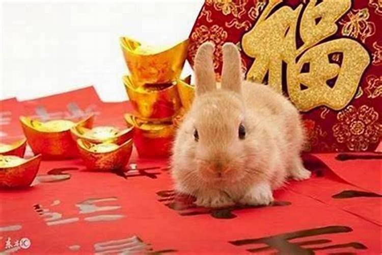 1999属兔婚姻运势,属兔人一生有几次婚姻