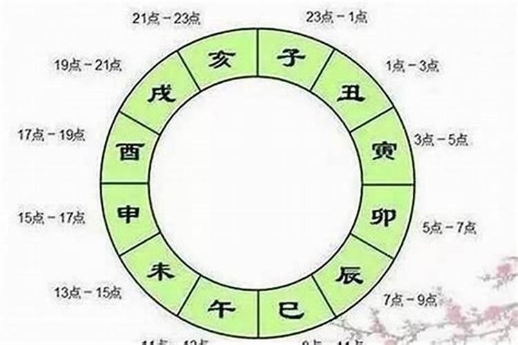 1982年属狗女2024年全年运势及每月运势