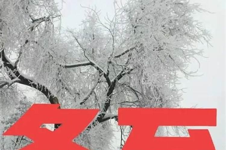 今年的冬至是哪天？