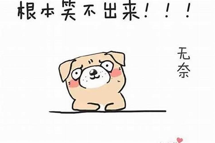 感觉运气不好怎么调整 如下五个方法可以调整运气