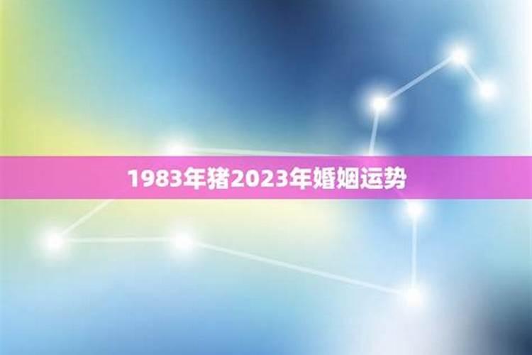 1975属兔人2025运势