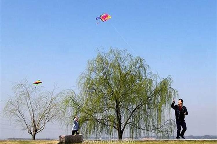 2o24年犯太岁的有哪些属相